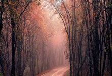 Switzerland: Its Iconic Cities, Culture, and Enduring Allure