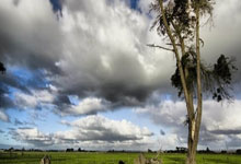 No Tax on Overtime: The 'deal,' when it 'starts,' and if your state even cares